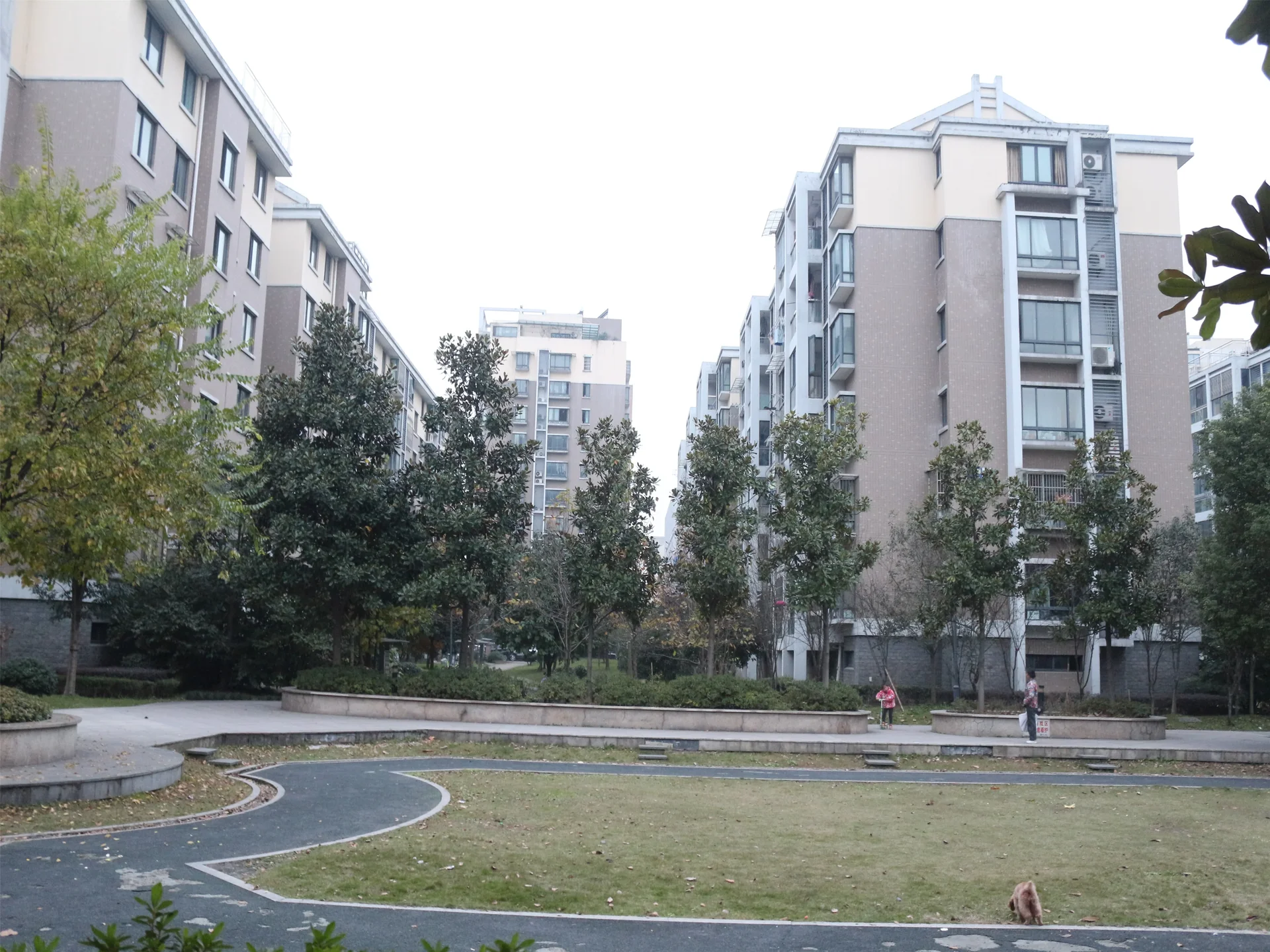 Harmony Garden - Photo 7