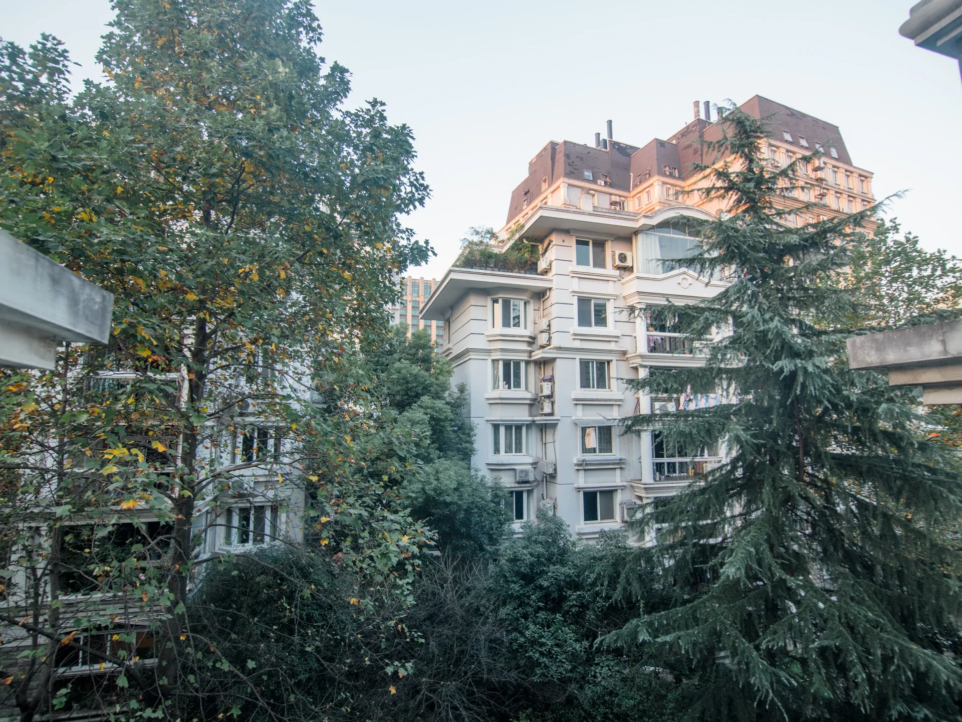 Eden View Garden - Photo 9