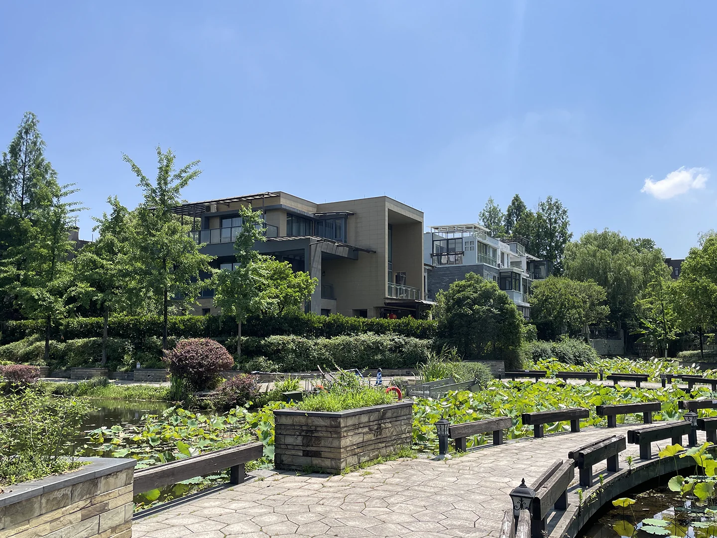 South Bank - Photo 6