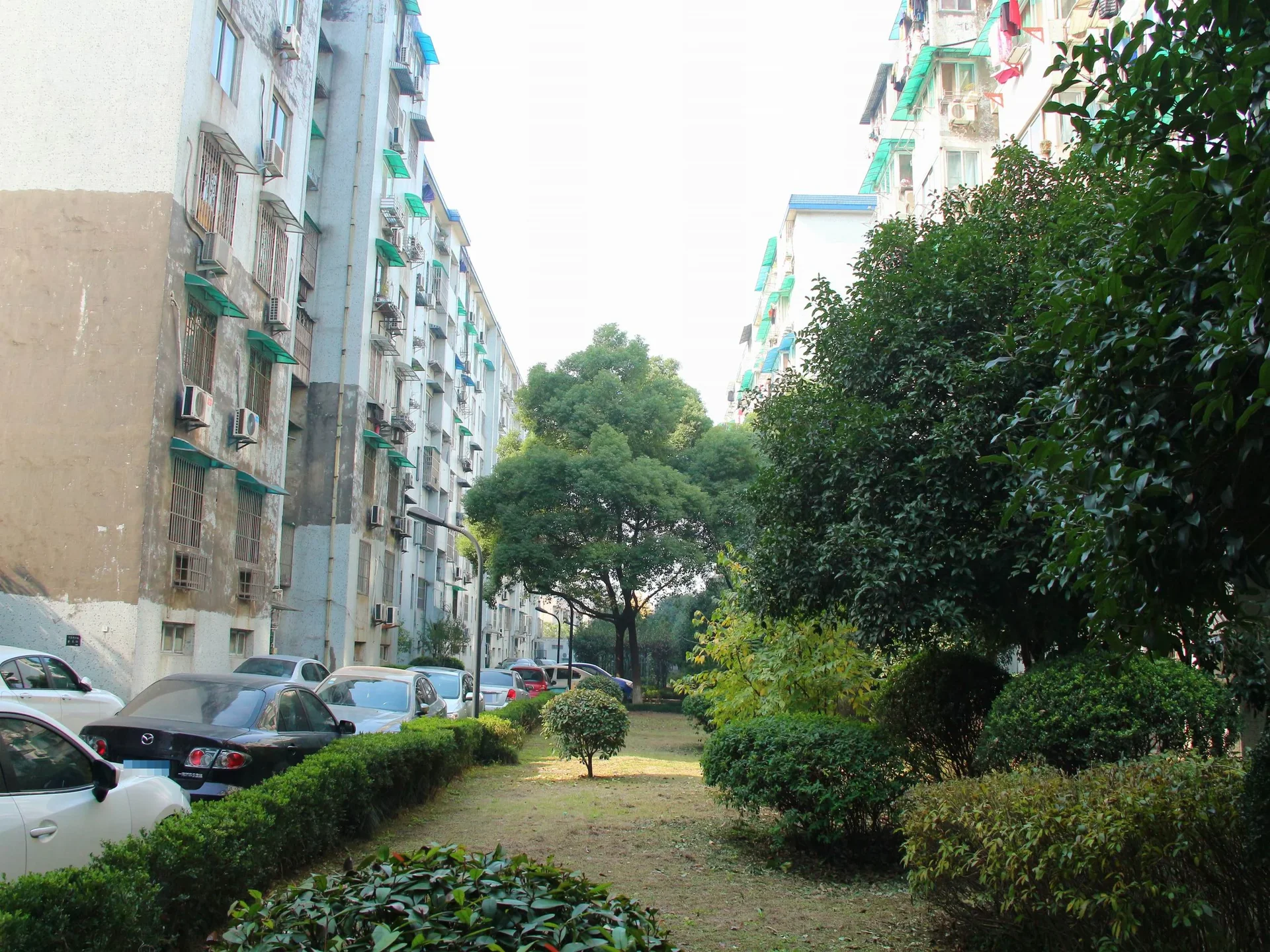 Nandu Garden - Photo 3