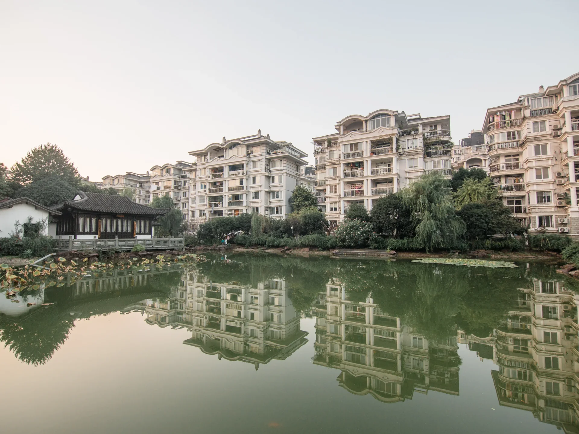 Eden View Garden - Photo 2