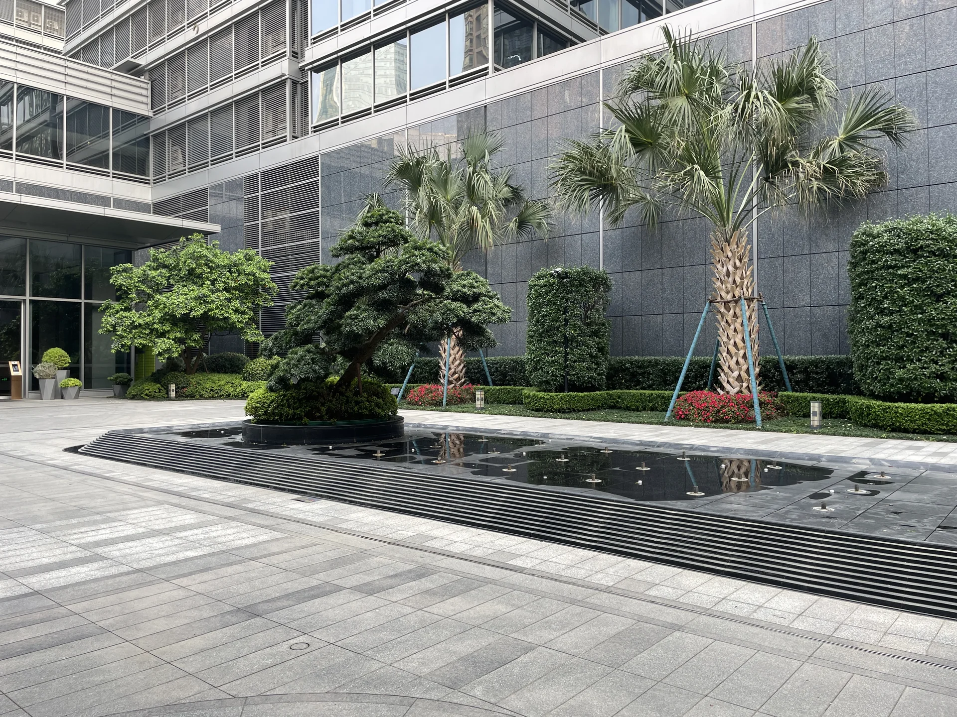 Star Tide Central - Photo 3