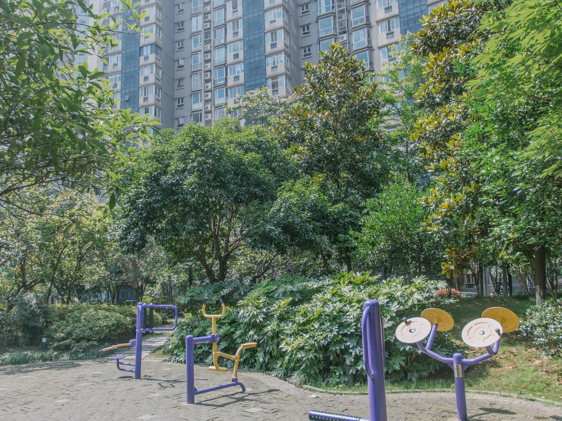 Modern  Garden - Photo 21