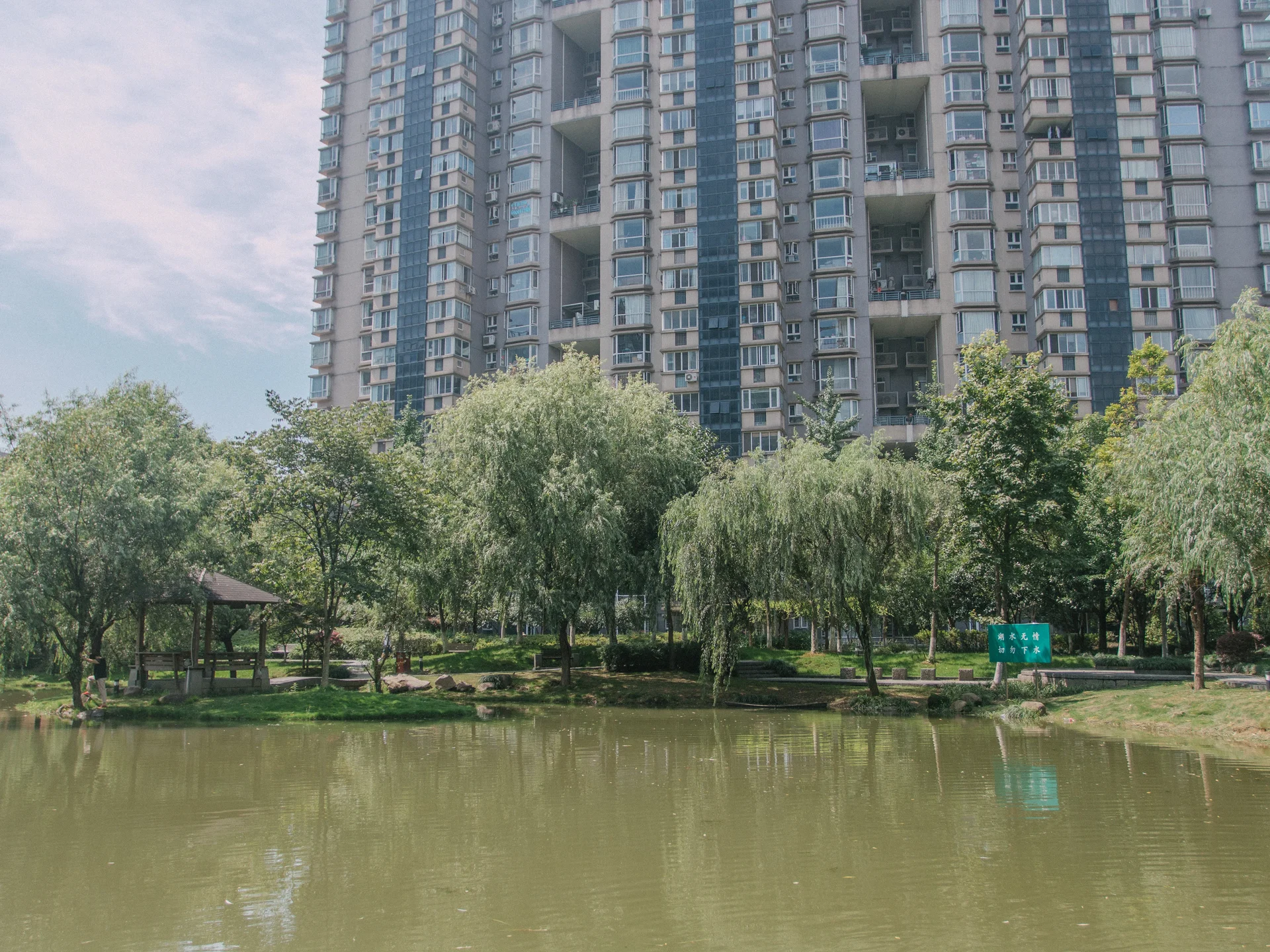 Modern  Garden - Photo 26