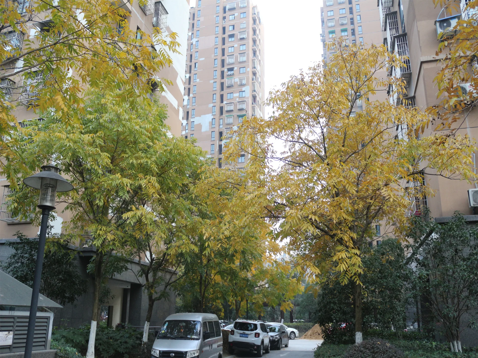 Fangjia Garden - Photo 5