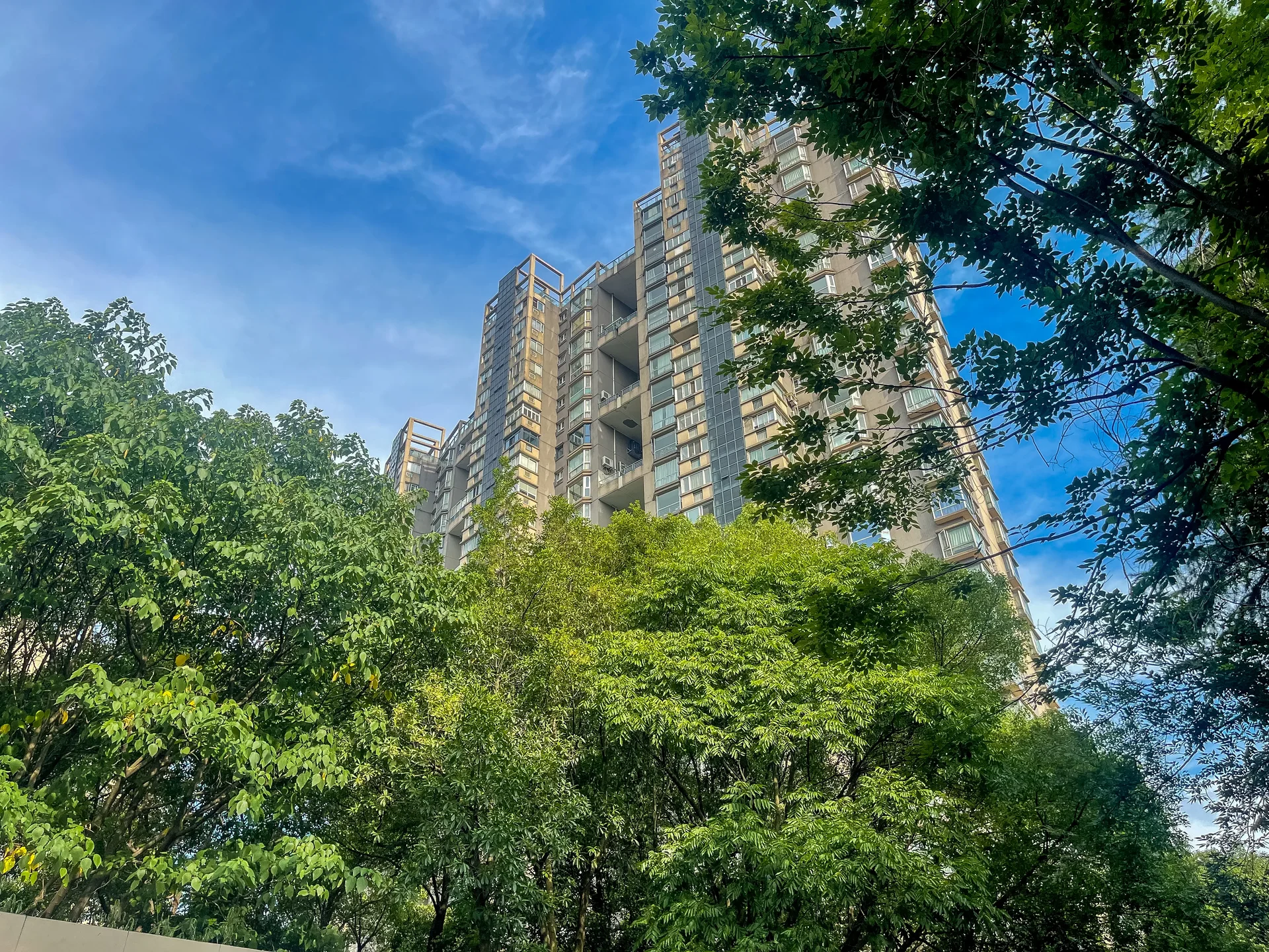 Modern  Garden - Photo 3