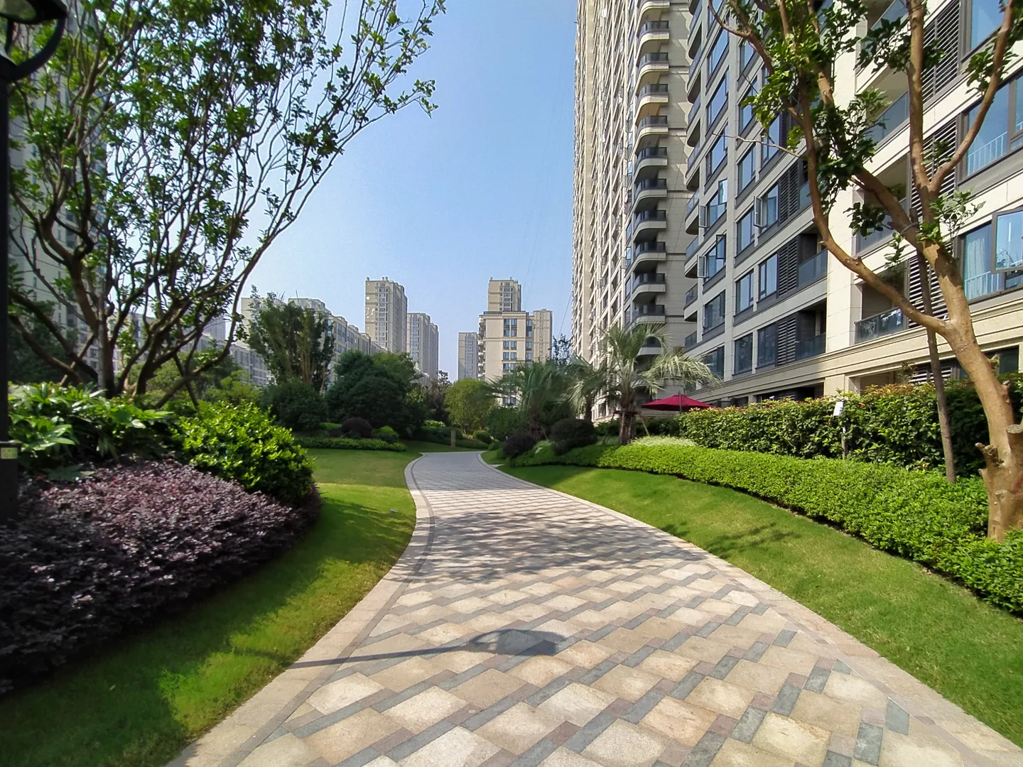 Jiangnan Star - Photo 17