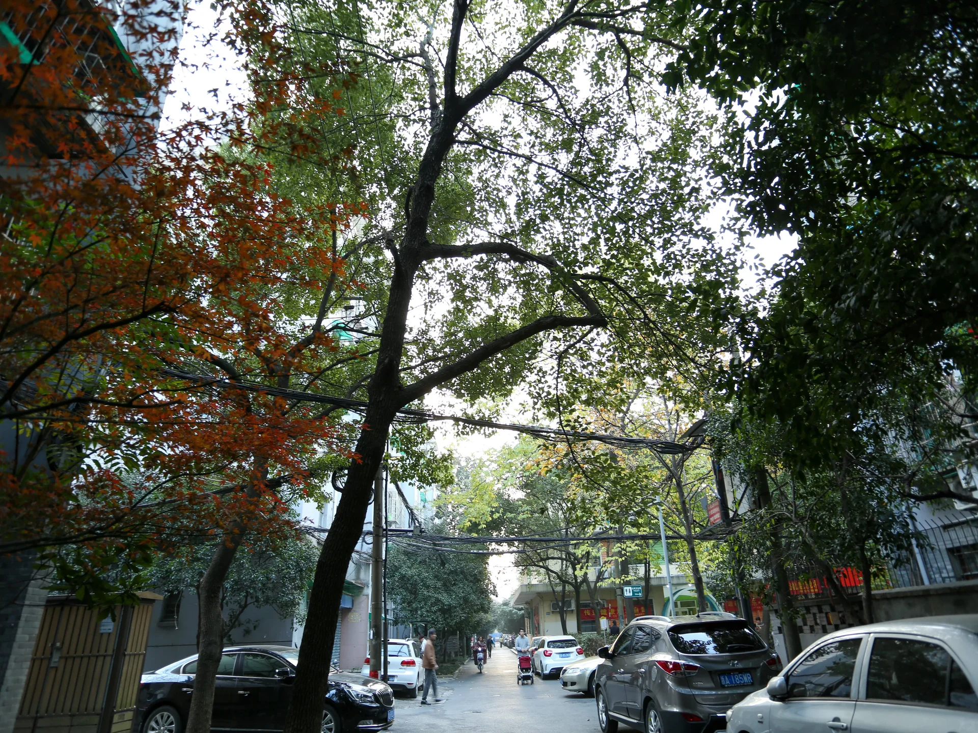 Shihuiqiao New Village - Photo 20