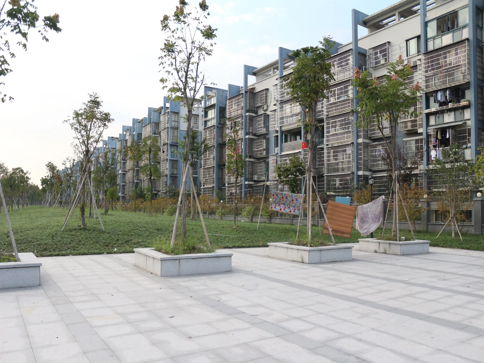 YC South Garden - Photo 8