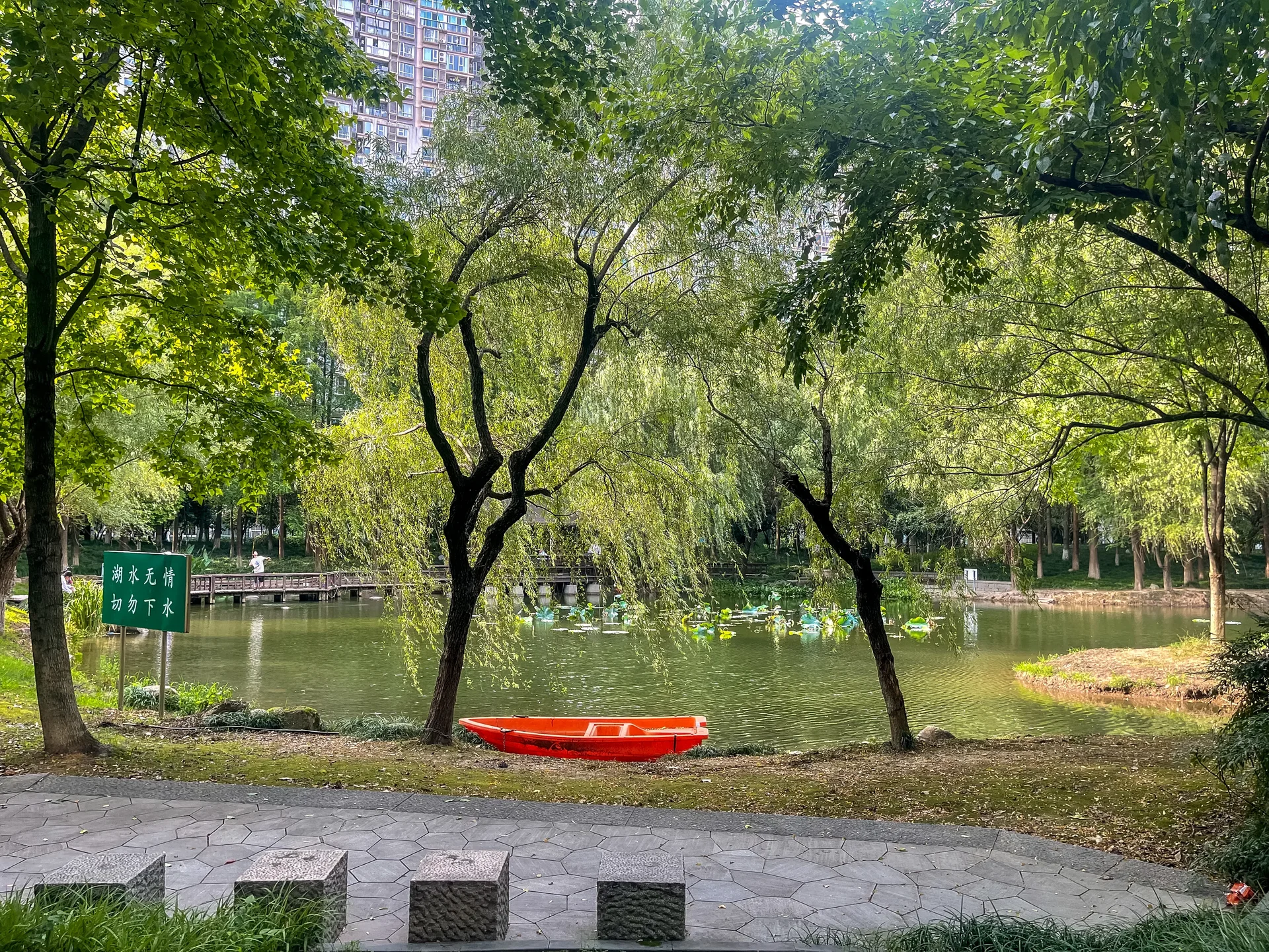 Modern  Garden - Photo 16