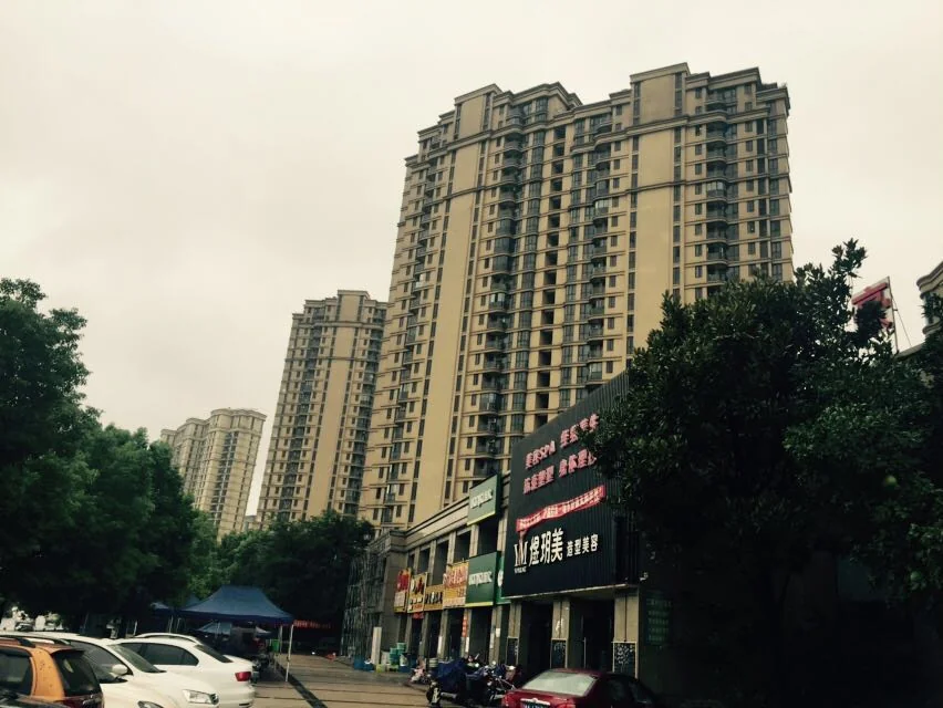 Tulip Shore - Photo 21