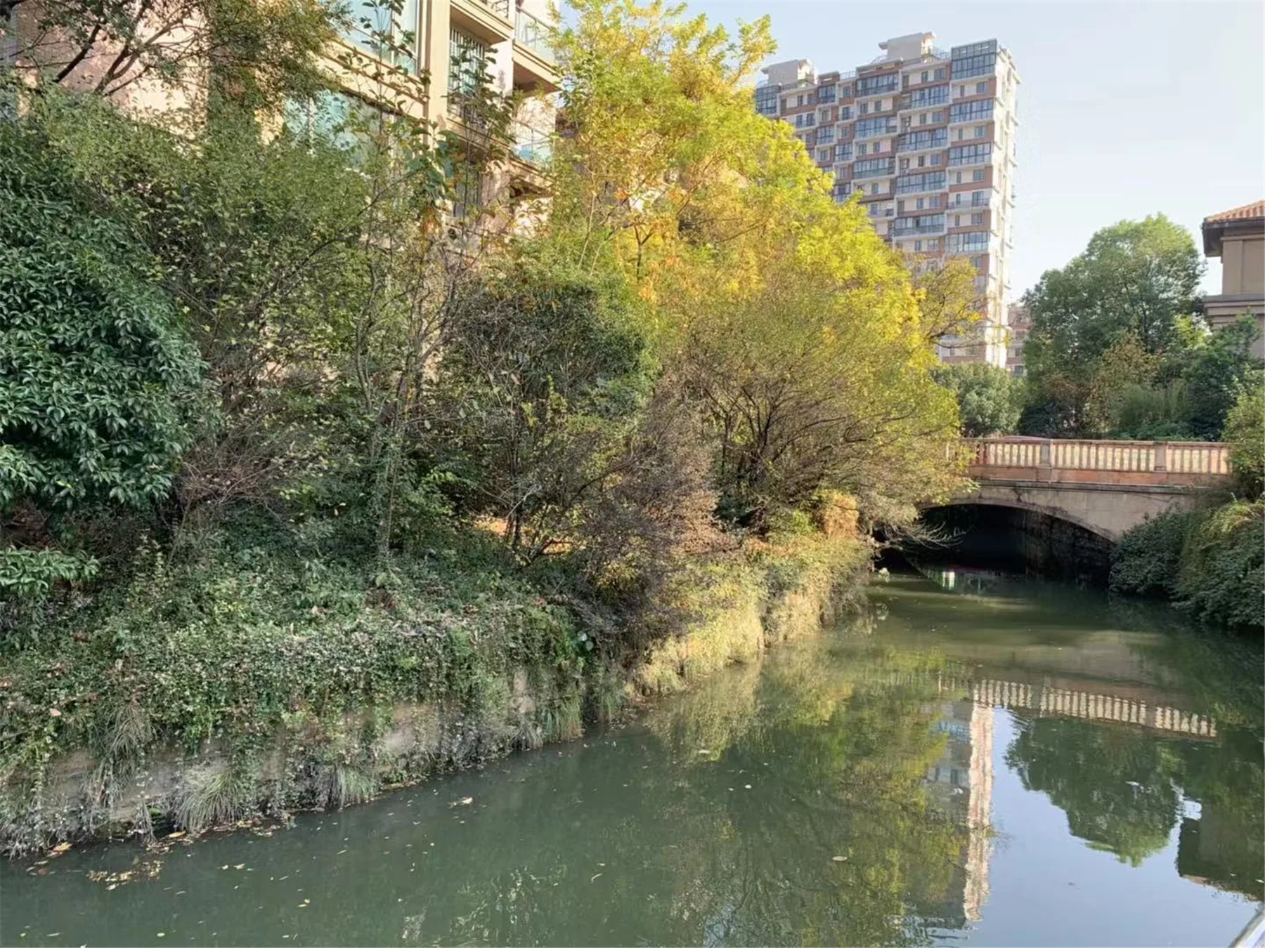 Regal Garden  - Photo 19