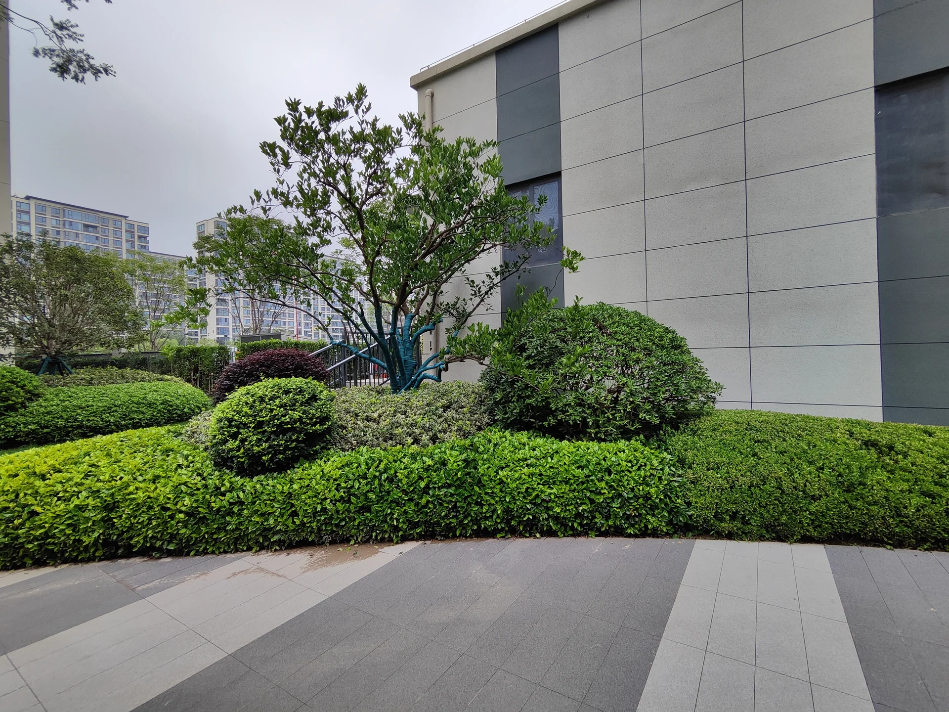 Shining Jade City - Photo 4