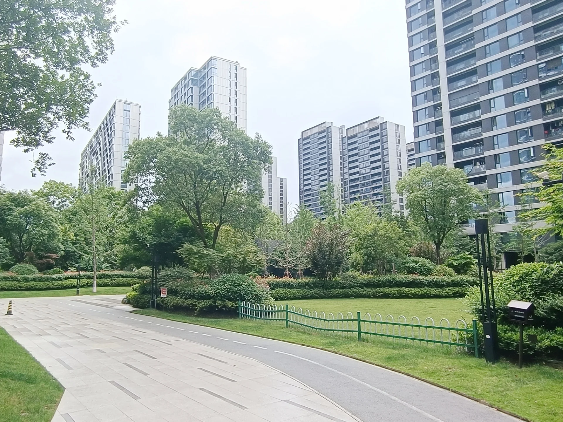 Yin Future - Photo 9