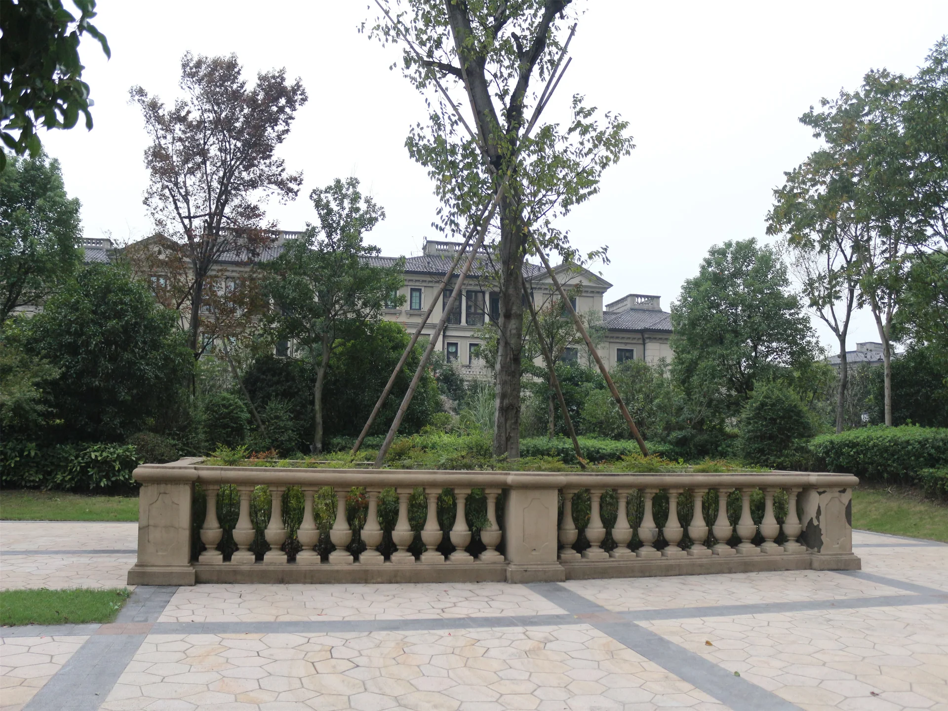 Tulip Shore - Photo 13