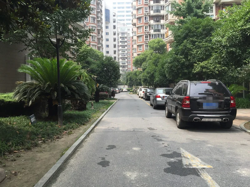 Lvzhou Gardon - Photo 12