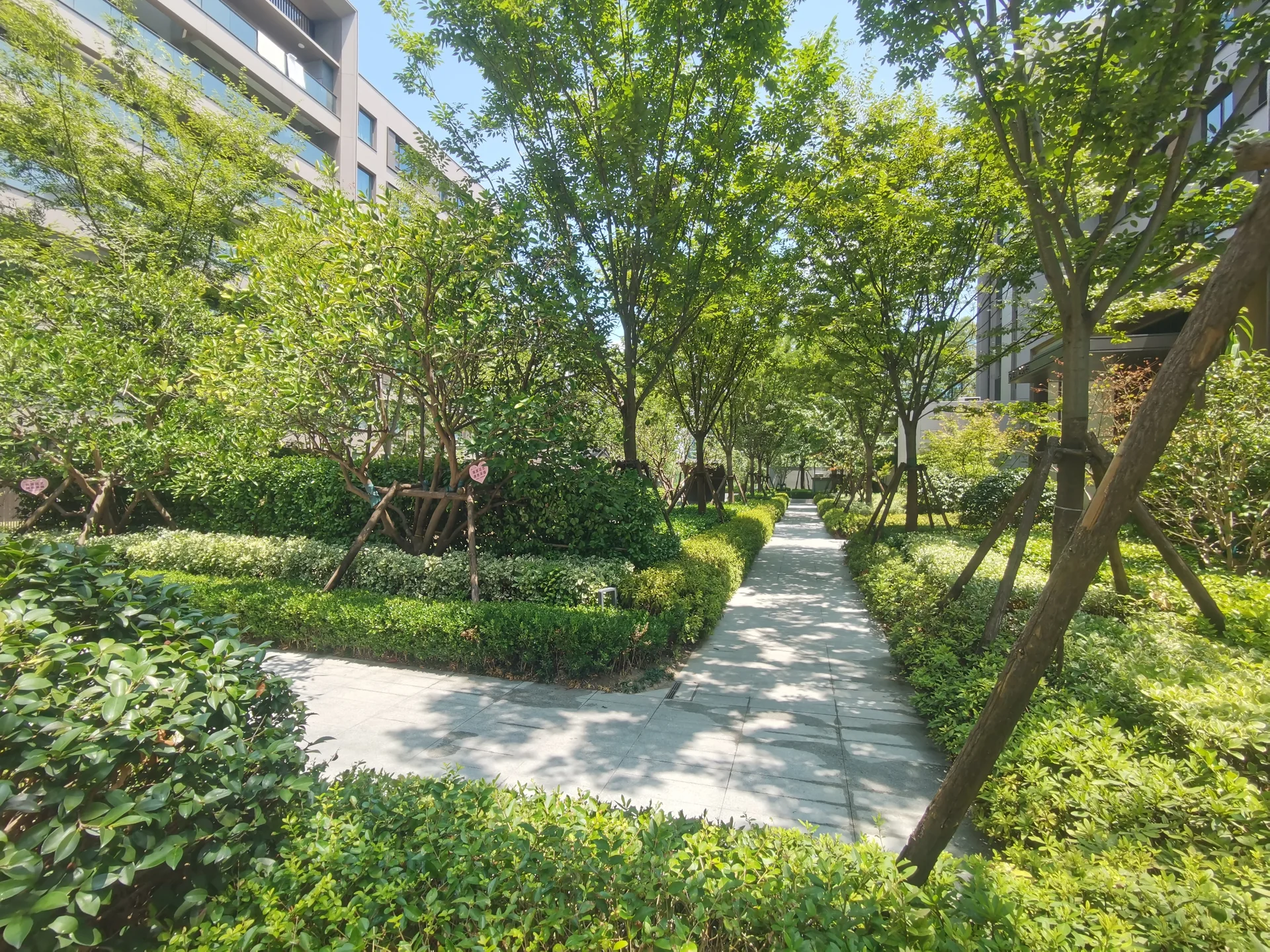 Hangzhou Bay North - Photo 6