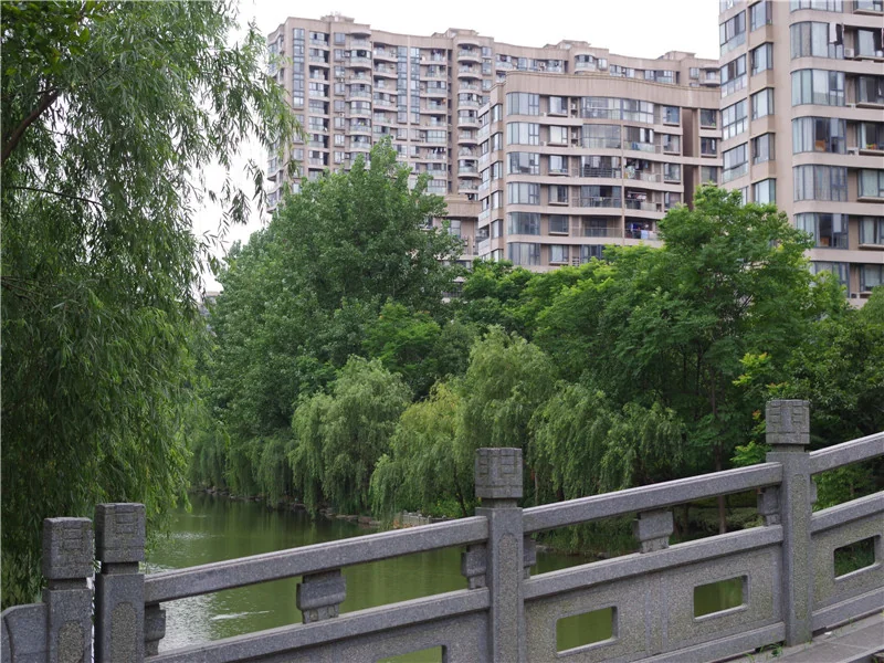 YJ Cultural Garden - Photo 29