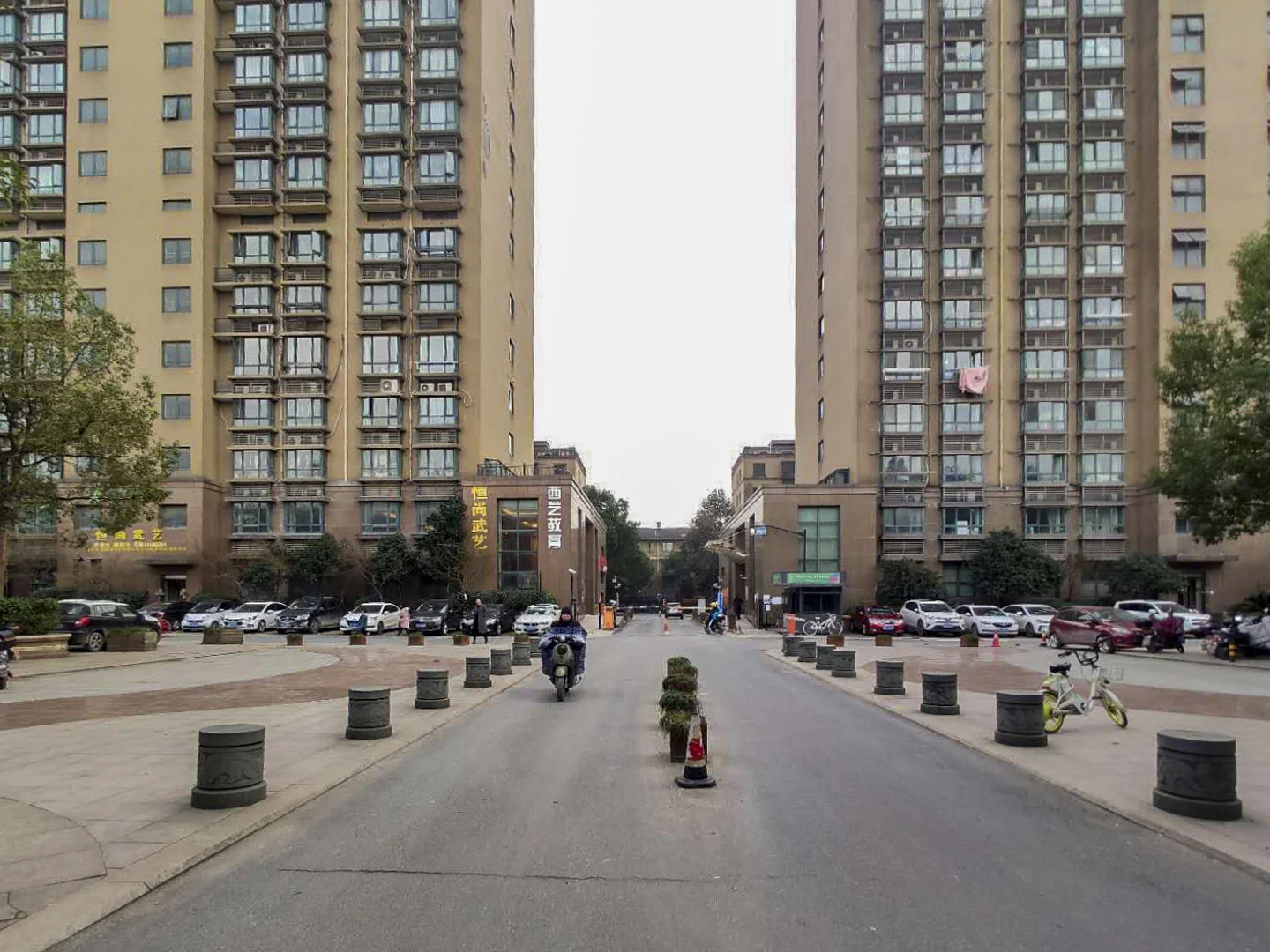 Flourish Garden - Photo 15