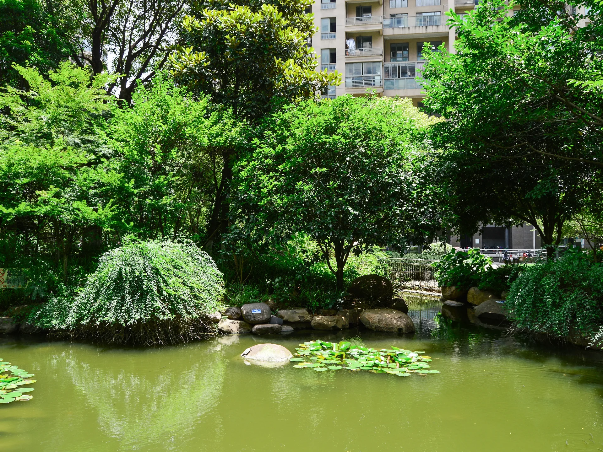 Red Street Apartments - Photo 15