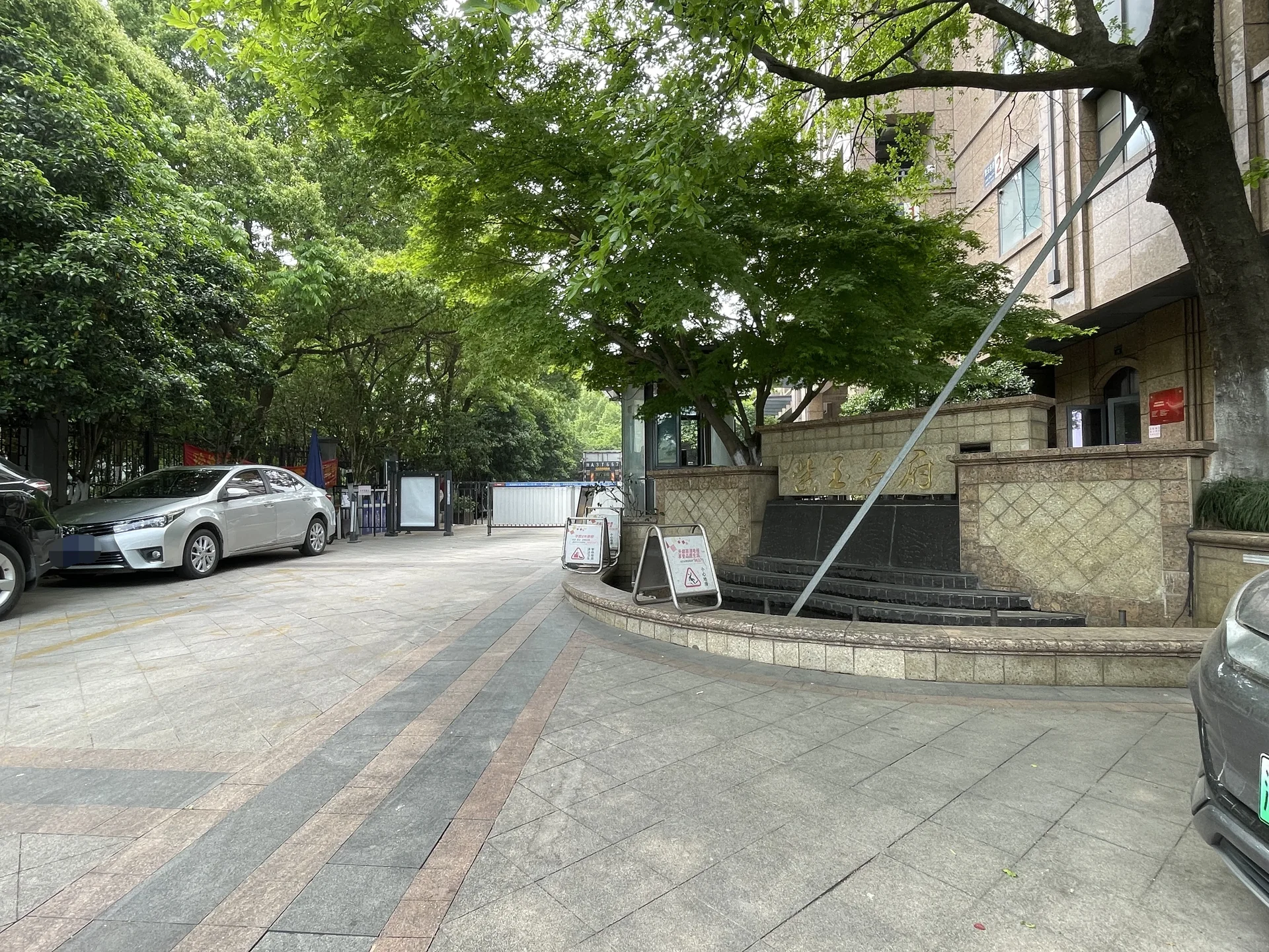 Purple Jade - Photo 10