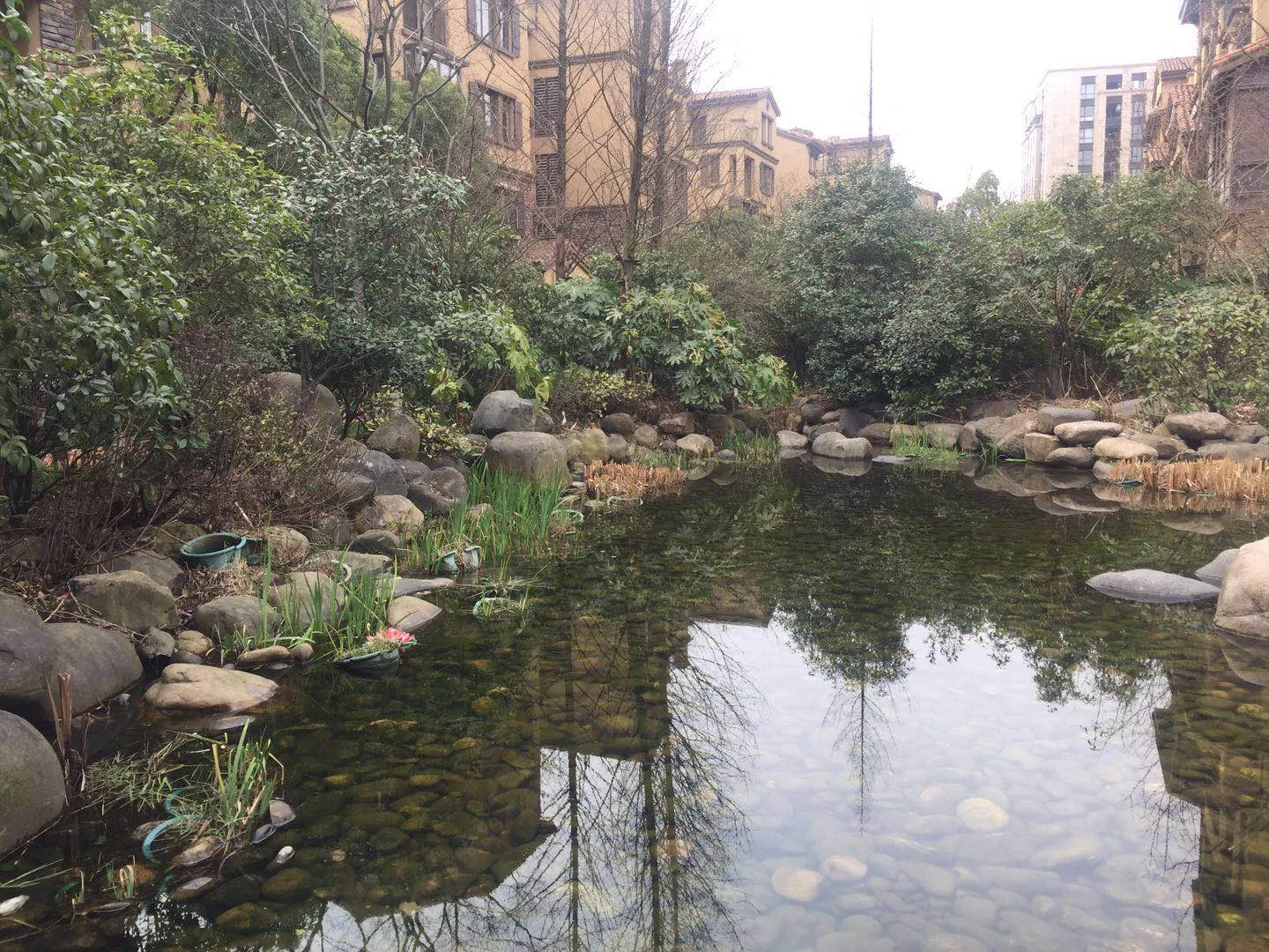 Allinsun Garden - Photo 15