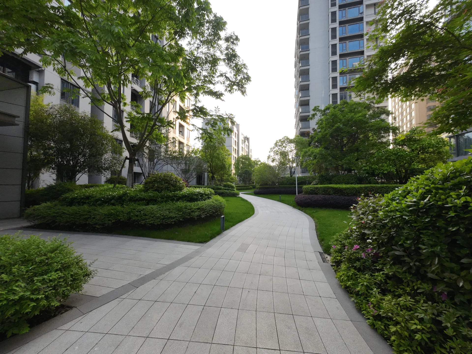 Longfor Jadeite Court - Photo 1