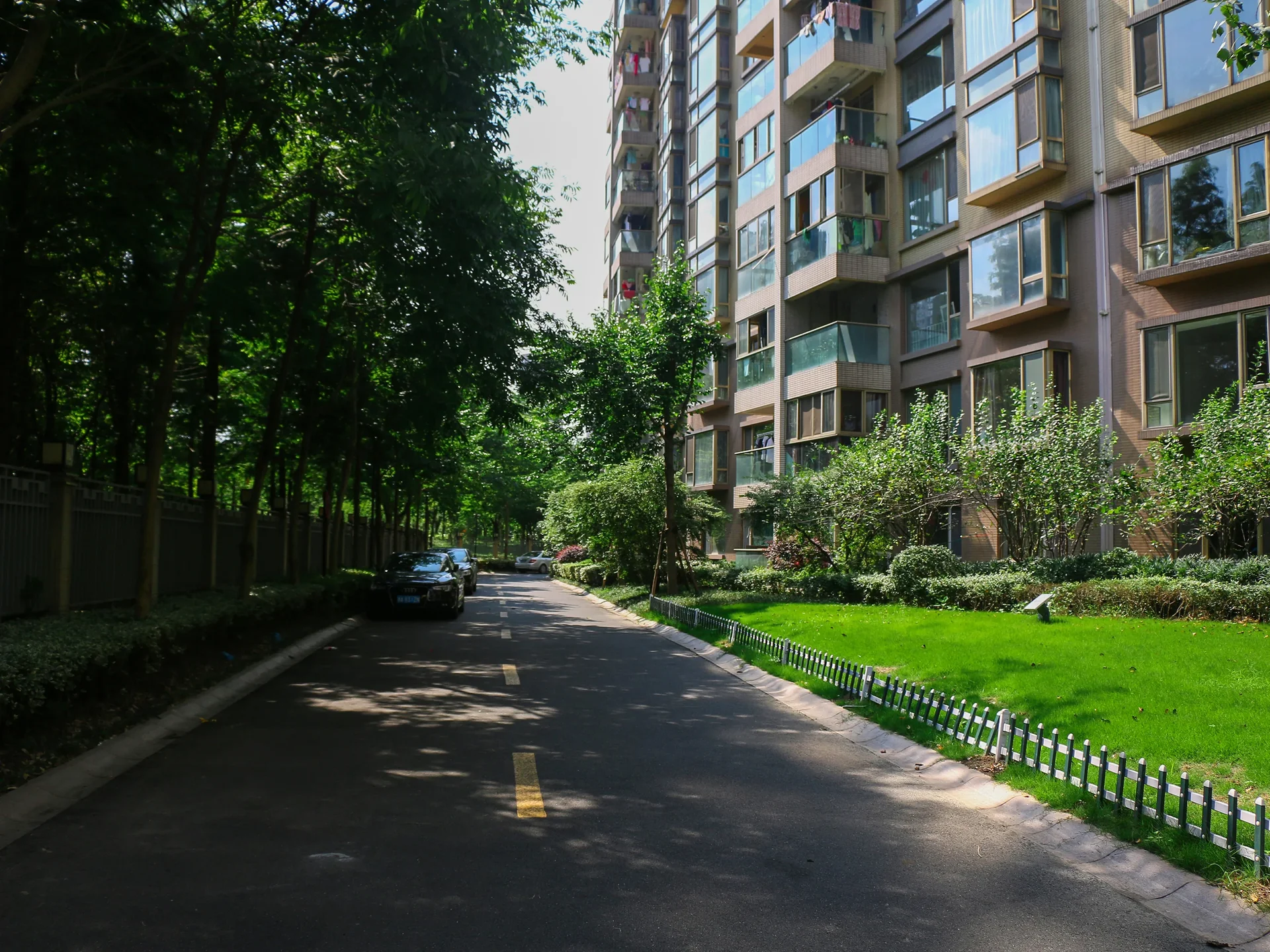 New City International - Photo 3