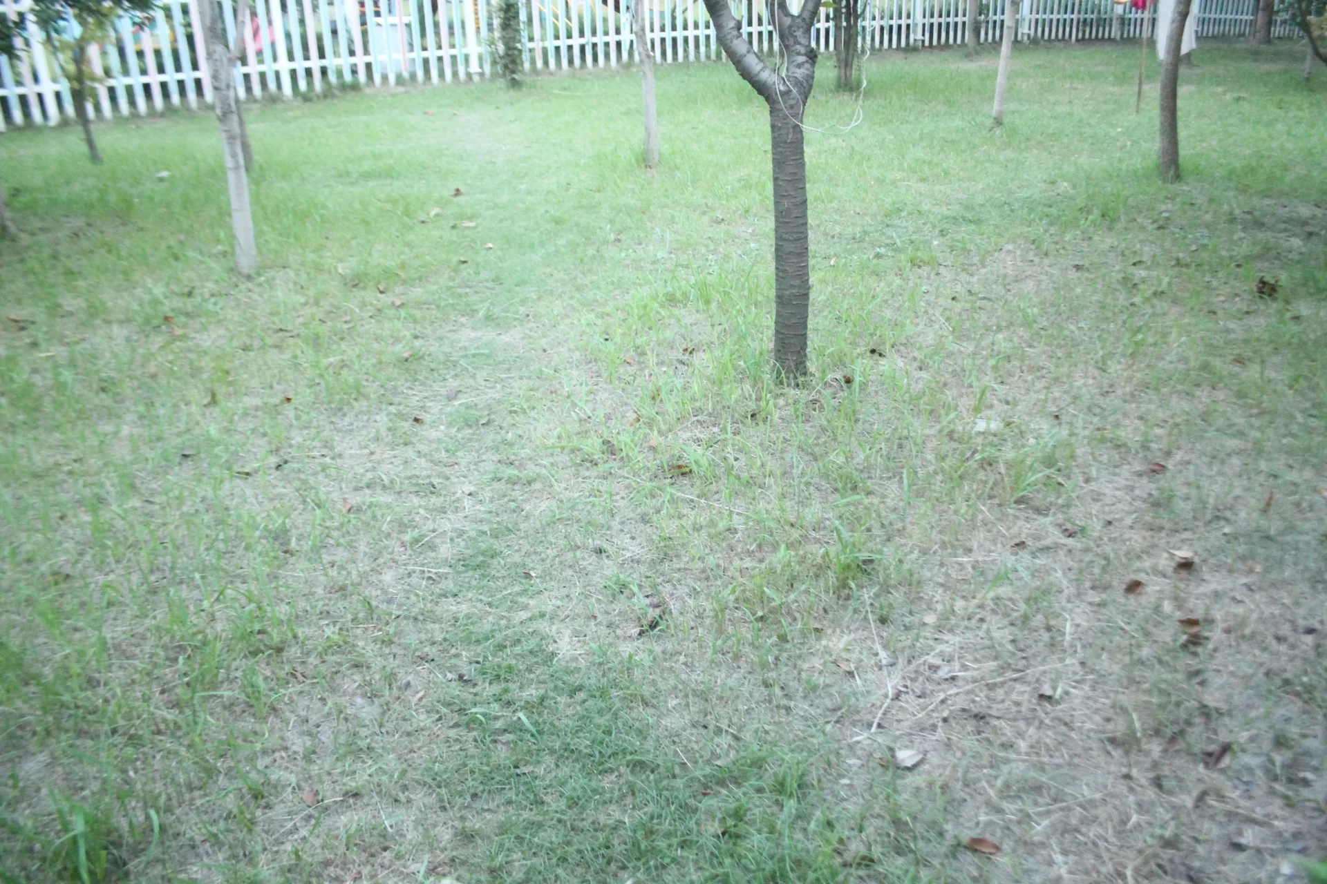 Yingchun Garden - Photo 25