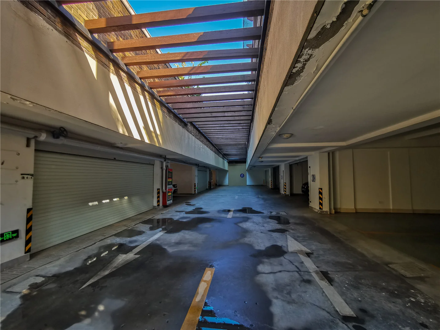 Xixi Rose Garden - Photo 15