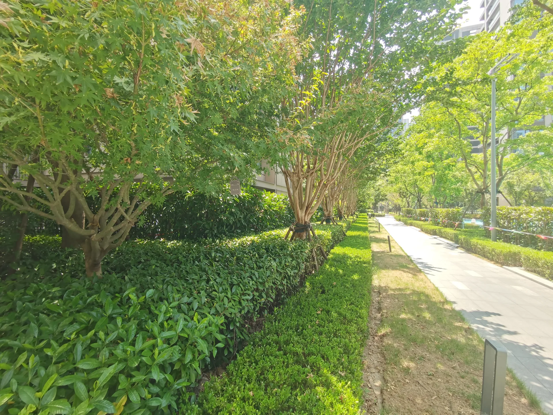 Hangzhou Bay - Photo 6