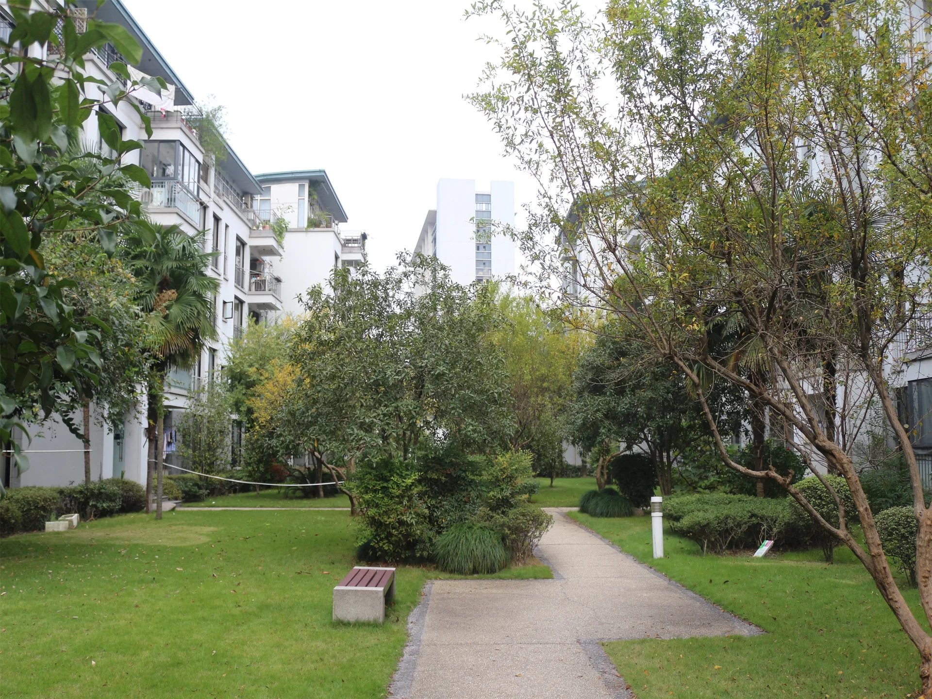 Jiangbin Garden - Photo 18