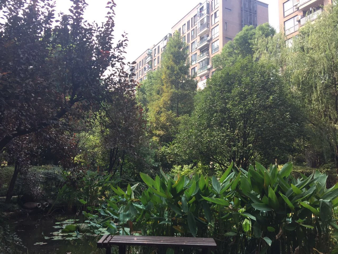 New Century City - Photo 26