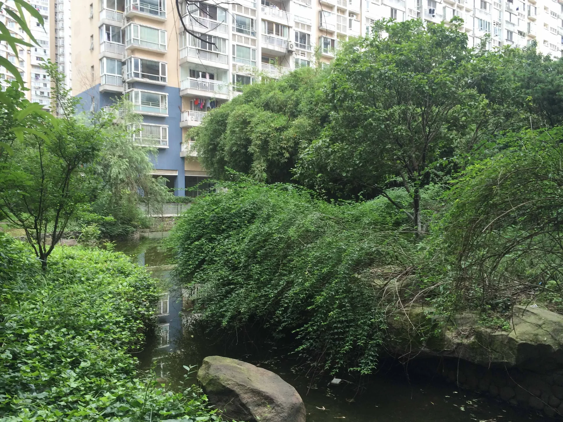 Jiangnan Manor - Photo 5