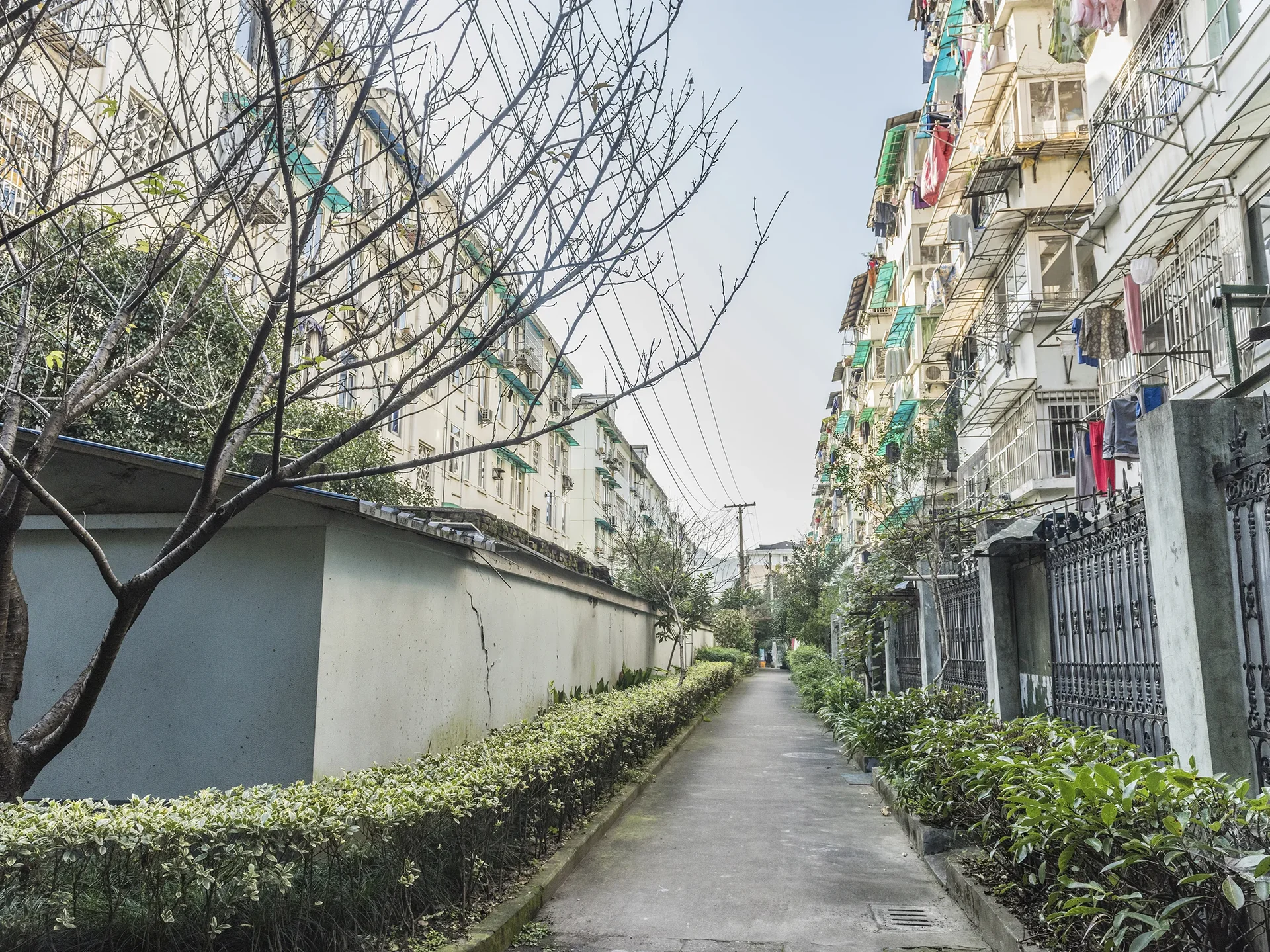 Dawn Village - Photo 10