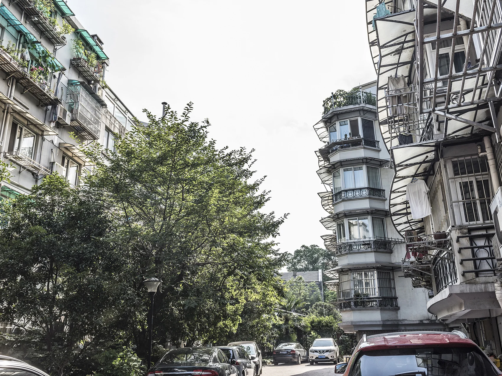 Willow Wave East Garden - Photo 18