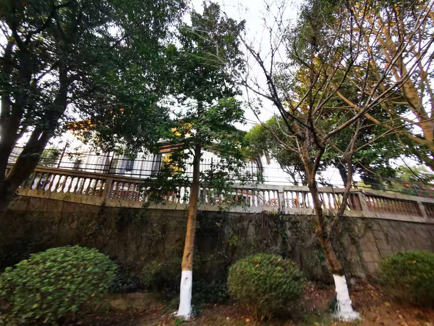 The Moon Bay - Photo 19