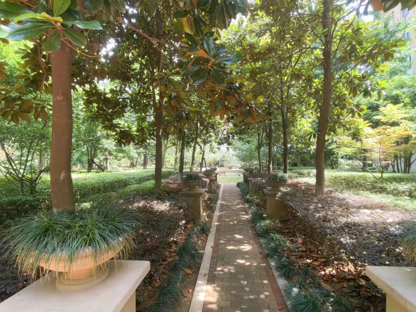 Harbor Joy Mansion - Photo 19