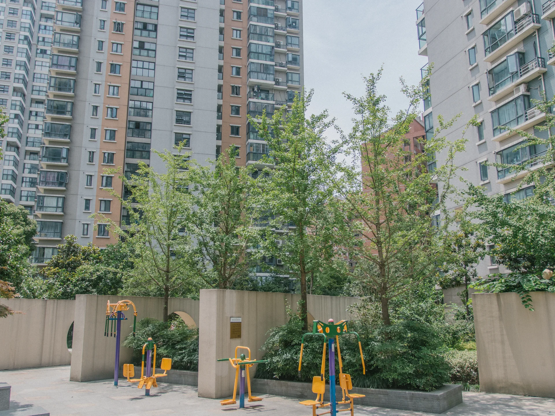 Modern Scenic Garden - Photo 13