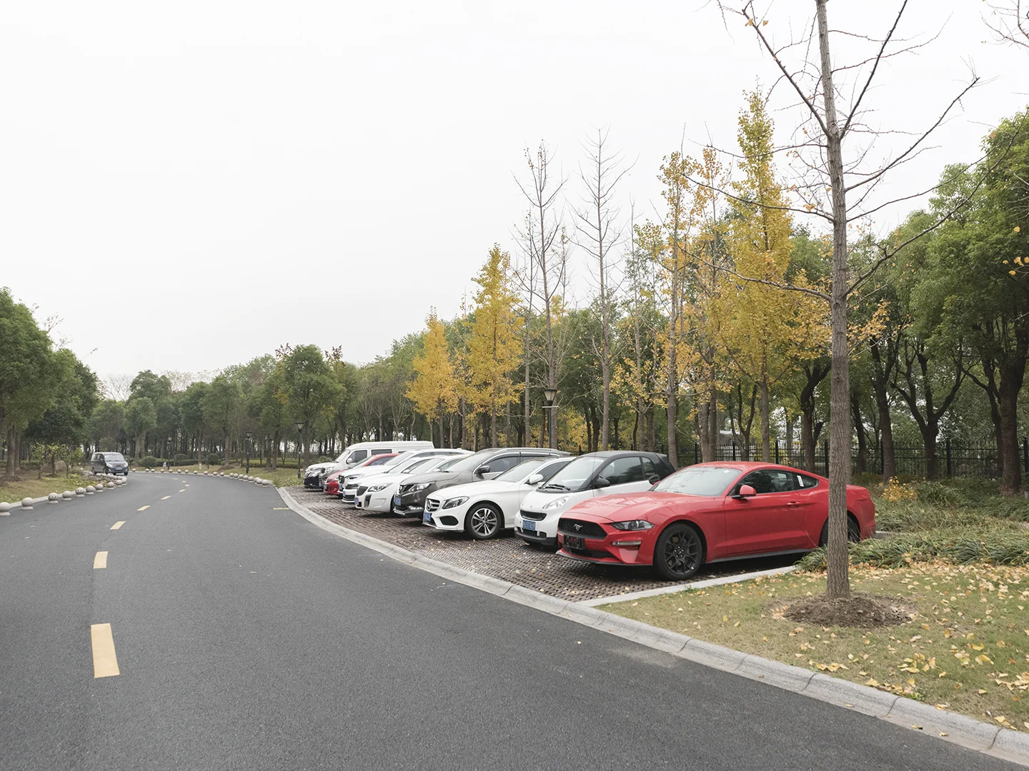 Guan Di International - Photo 11