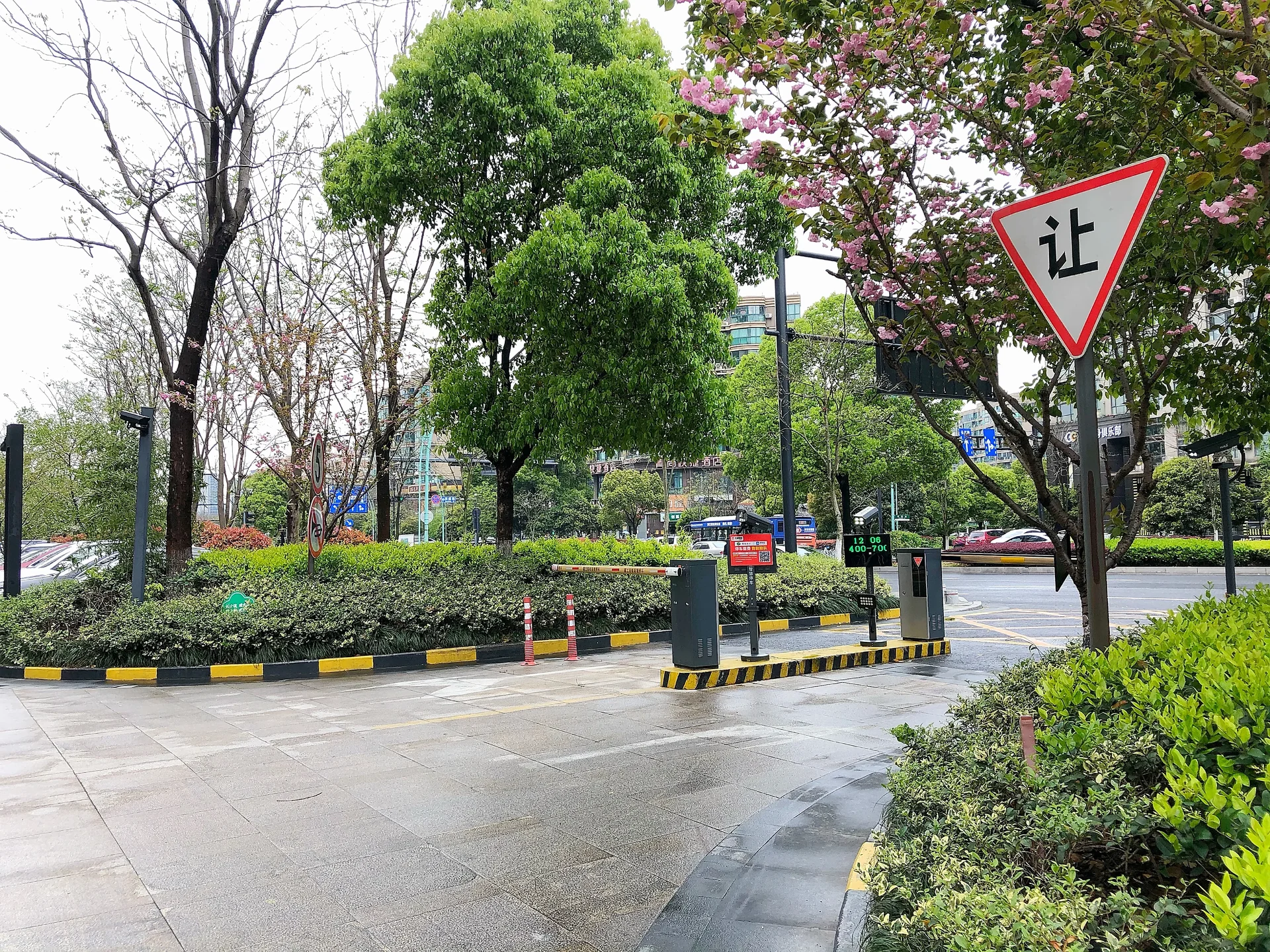 International Peninsula - Photo 4