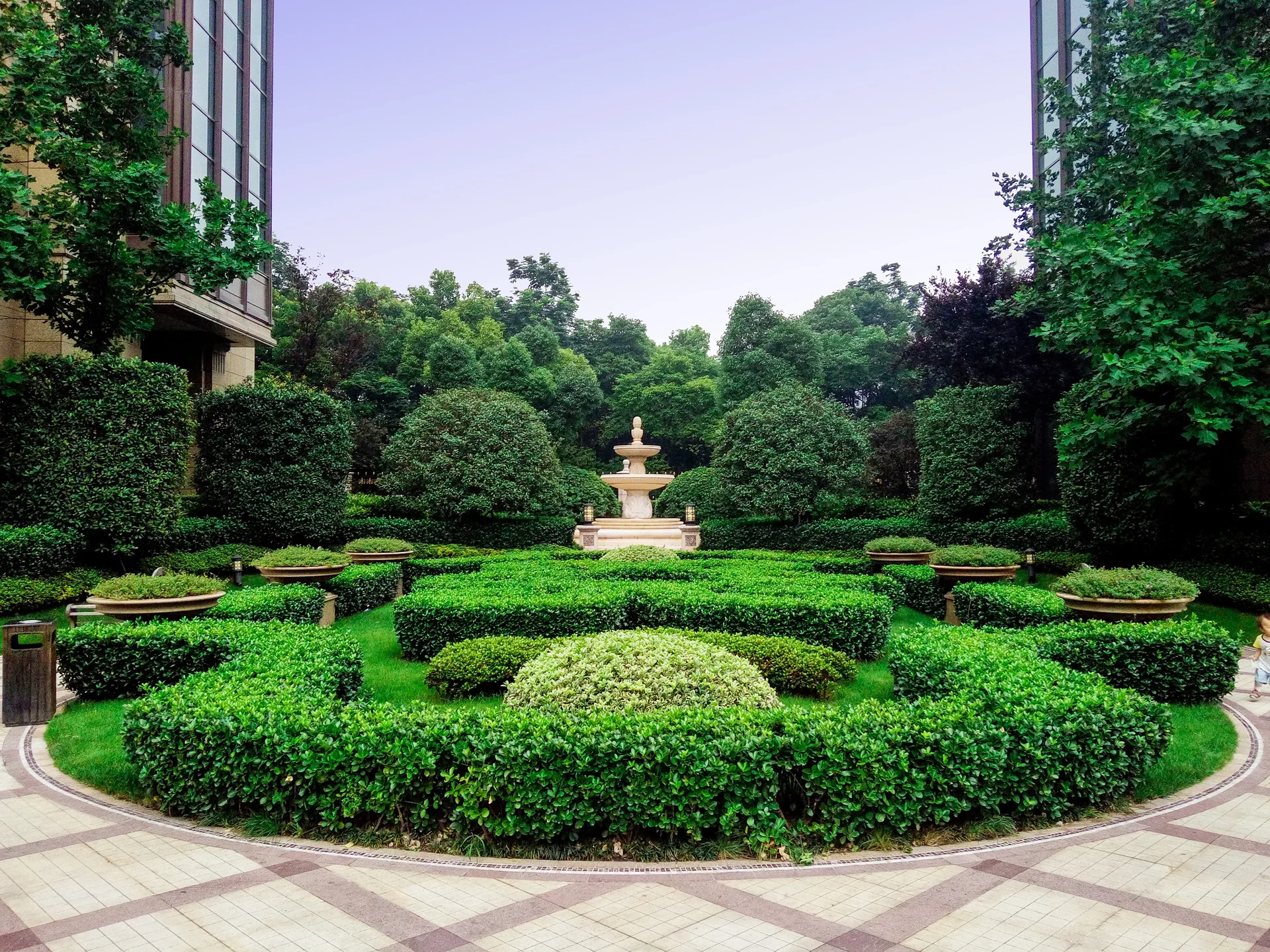 The City Star - Photo 5