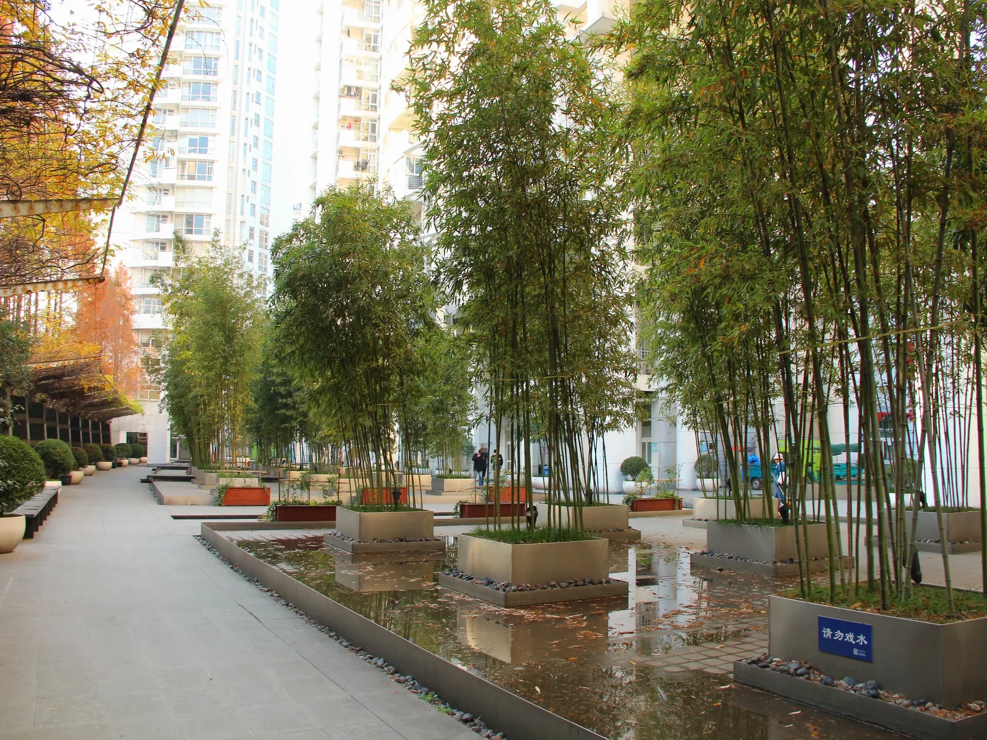 Narada Ginza - Photo 20