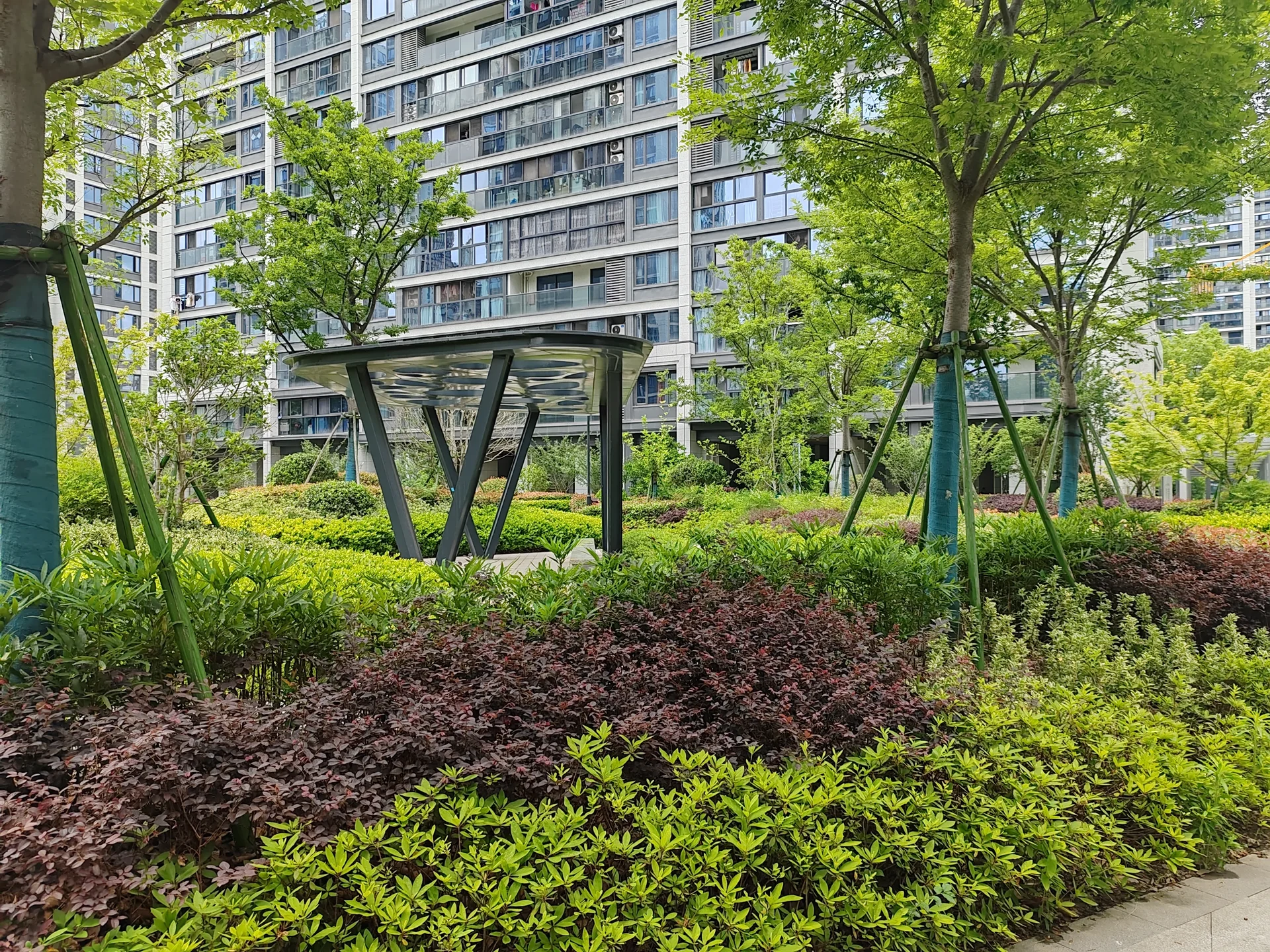 Thrive Manor - Photo 6