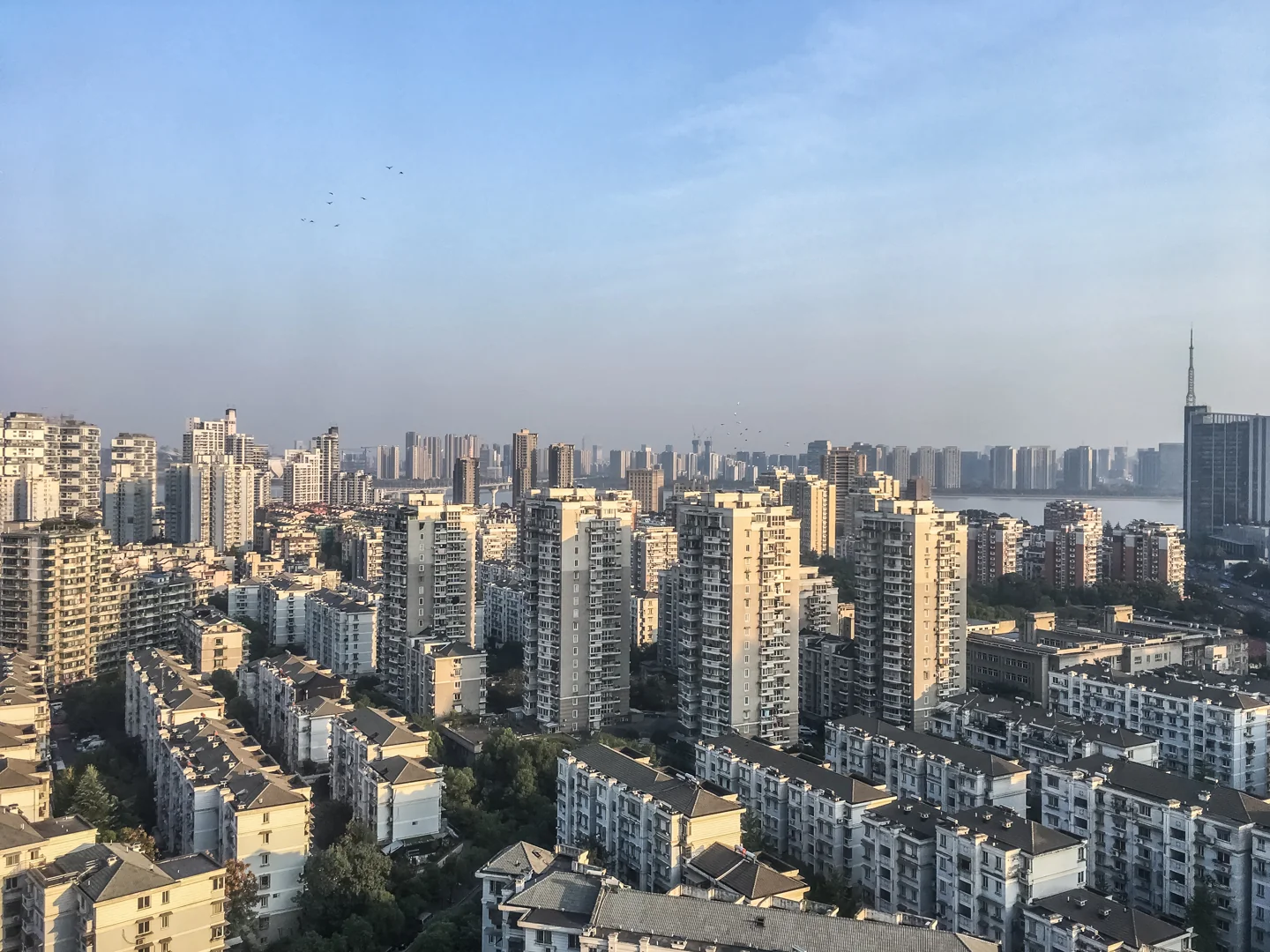 Rixin International - Photo 11