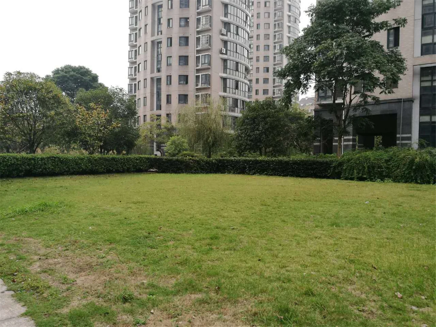 YC South Garden - Photo 28