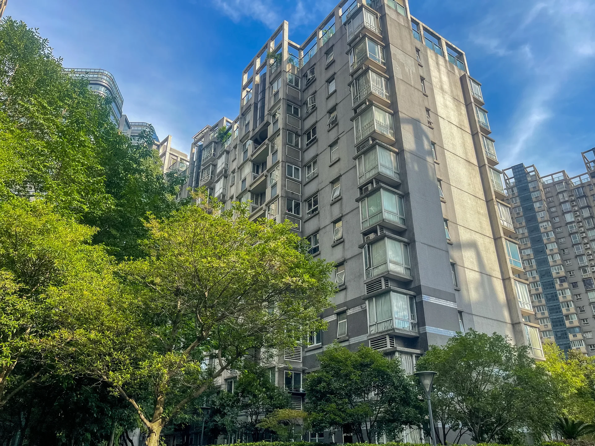 Modern  Garden - Photo 7