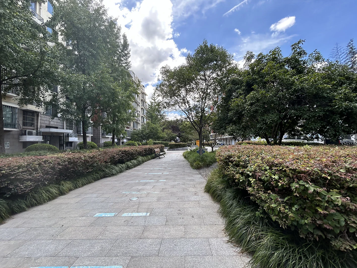 Changdao Spring - Photo 25