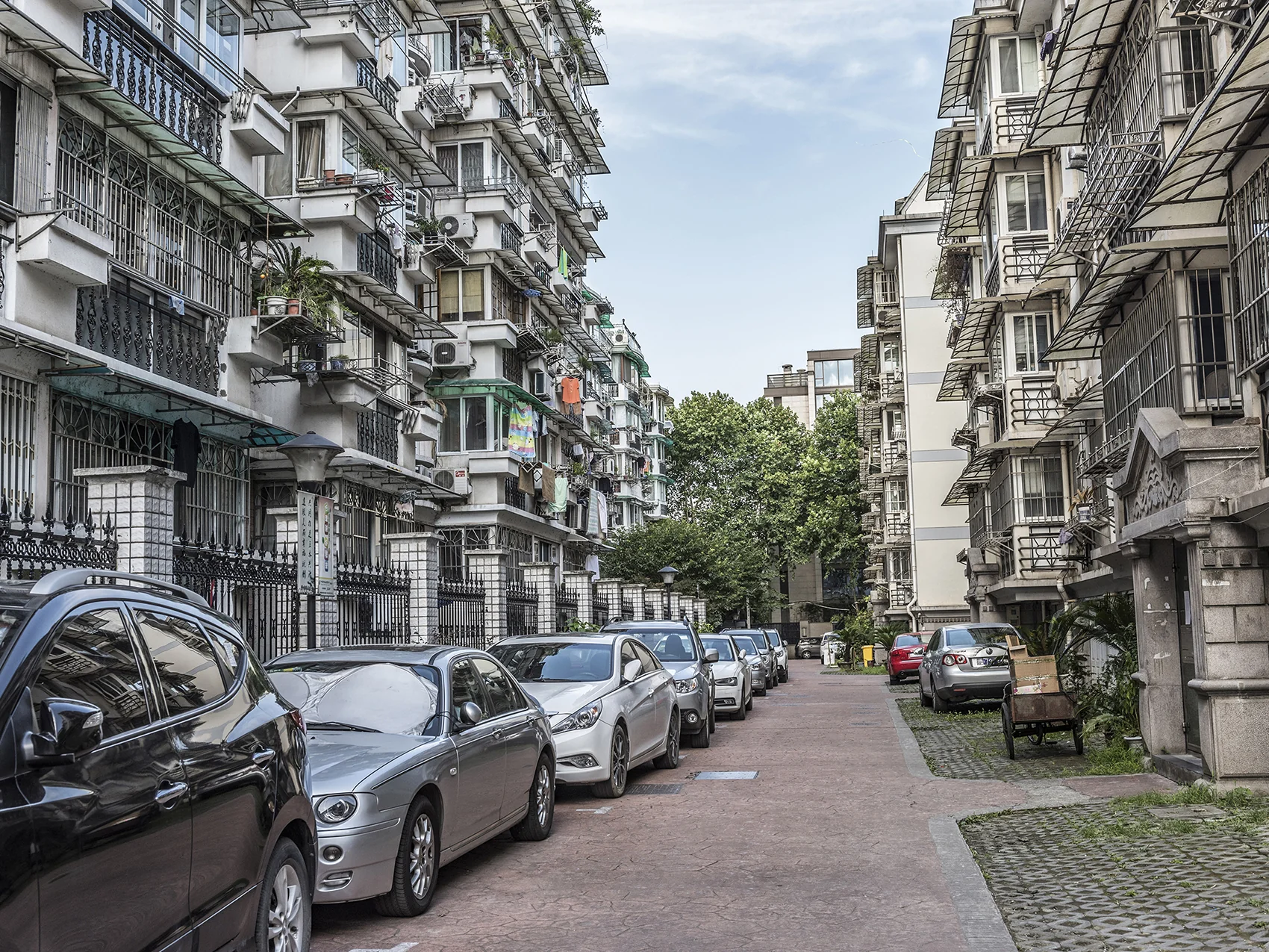 Willow Wave East Garden - Photo 14