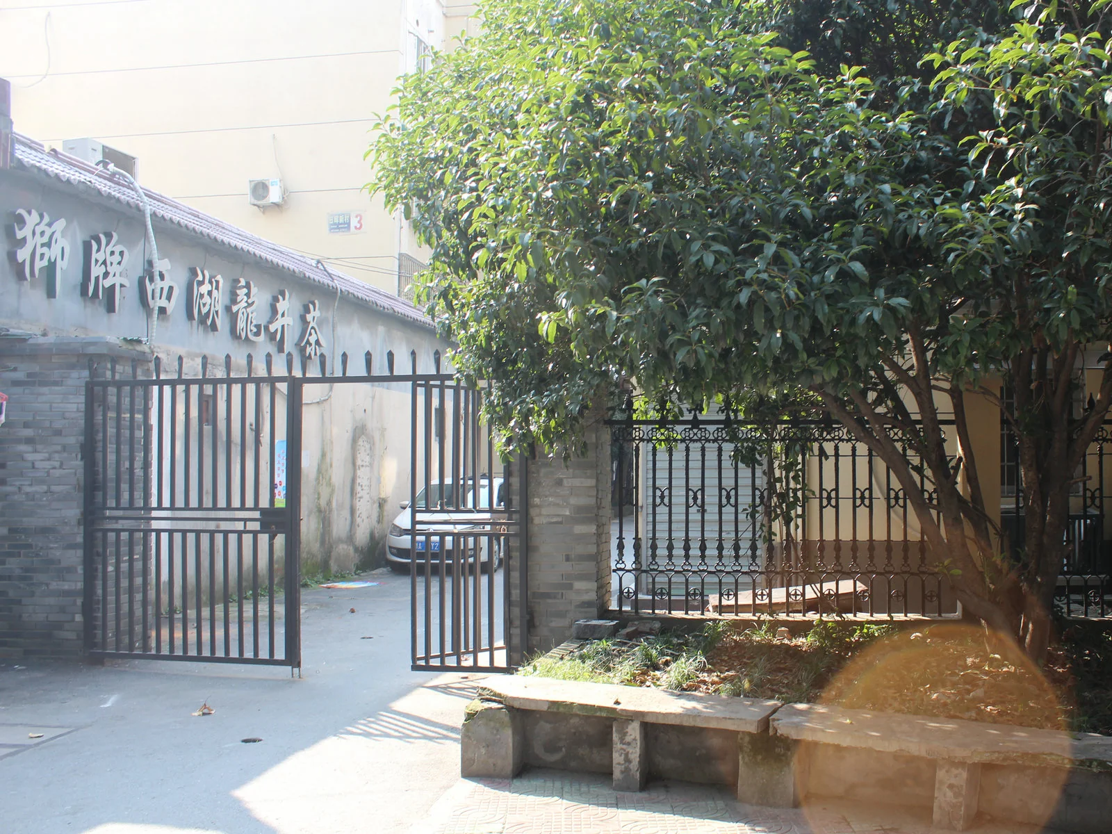 Sunshine  Village - Photo 12